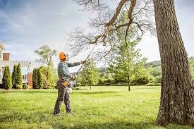 Best Lawn Edging  in Wharton, TX