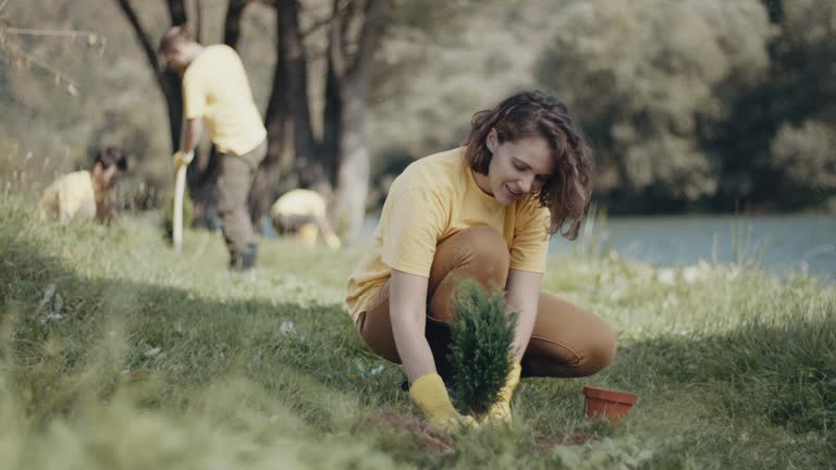 Best Root Management and Removal  in Wharton, TX